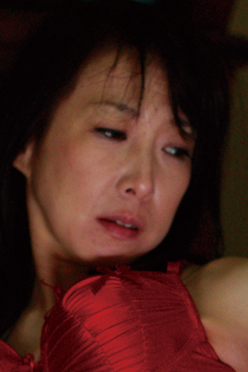 Bireijukujo 0479 jacket