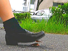 Fumaretai 0050 240x180