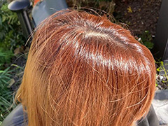 Kamirakuen 0014 240x180